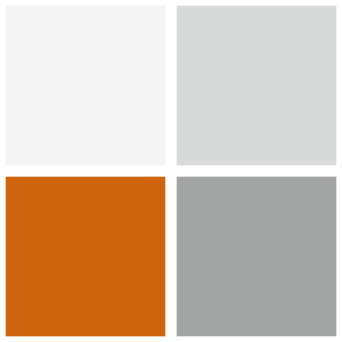 riscLOG Solution GmbH